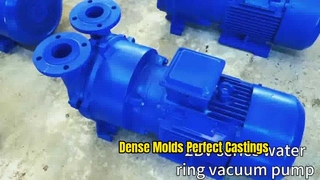 2BV series vacuum pumps